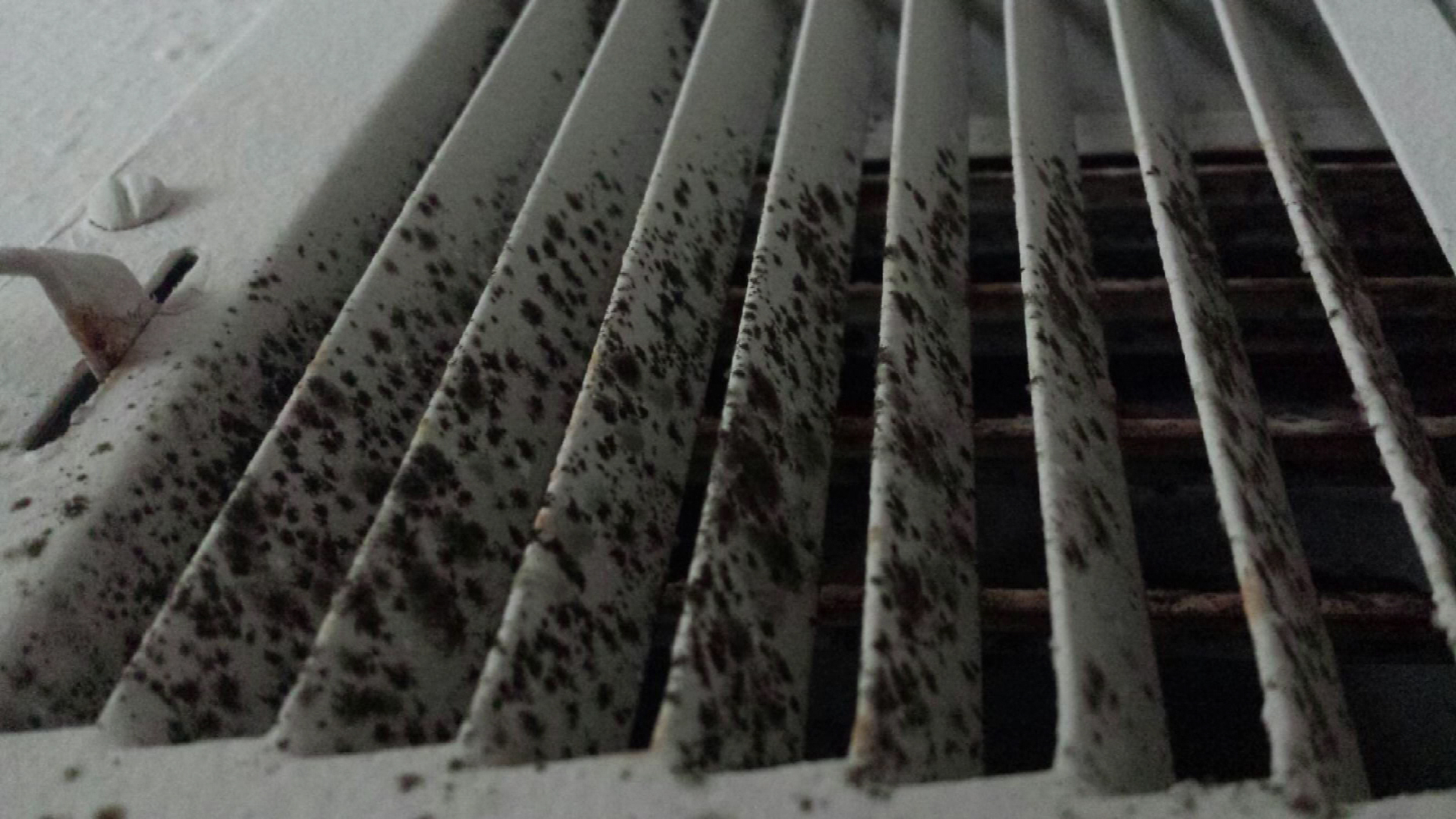 What Causes Mold In Ductwork? - Premier Heating & Cooling