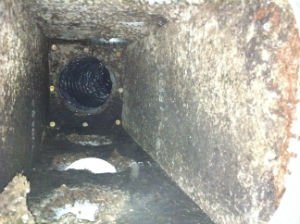 What Causes Mold In Ductwork? 2